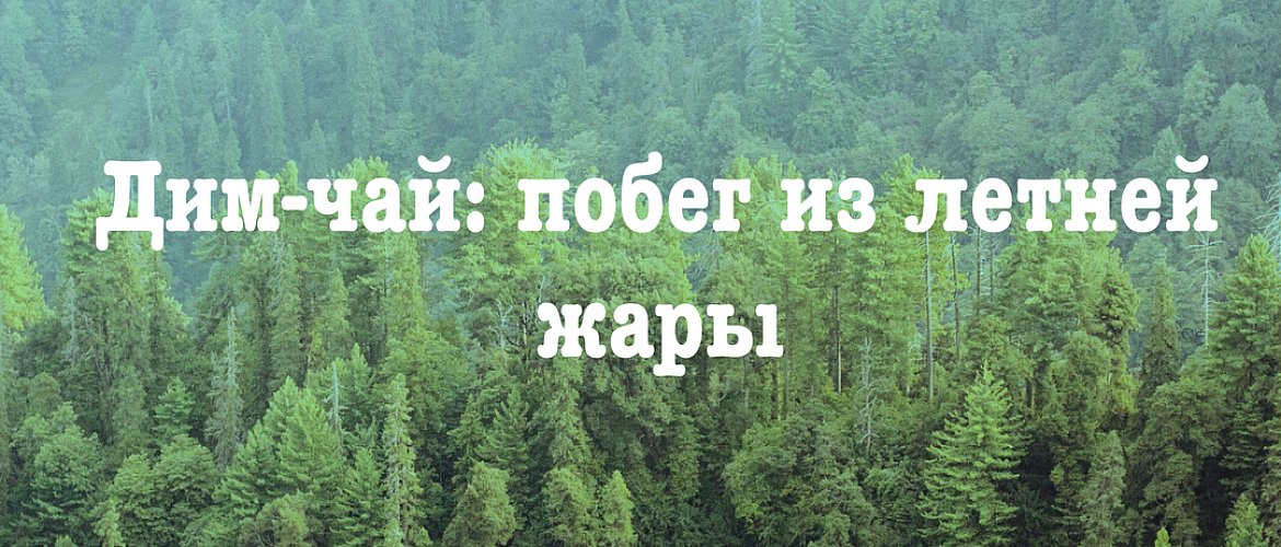 Дим-чай – побег из летней жары