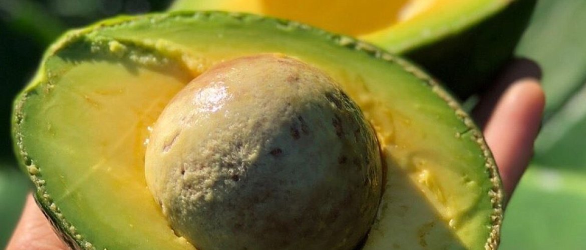 Есть и не грустить! Лучшие продукты против депрессии